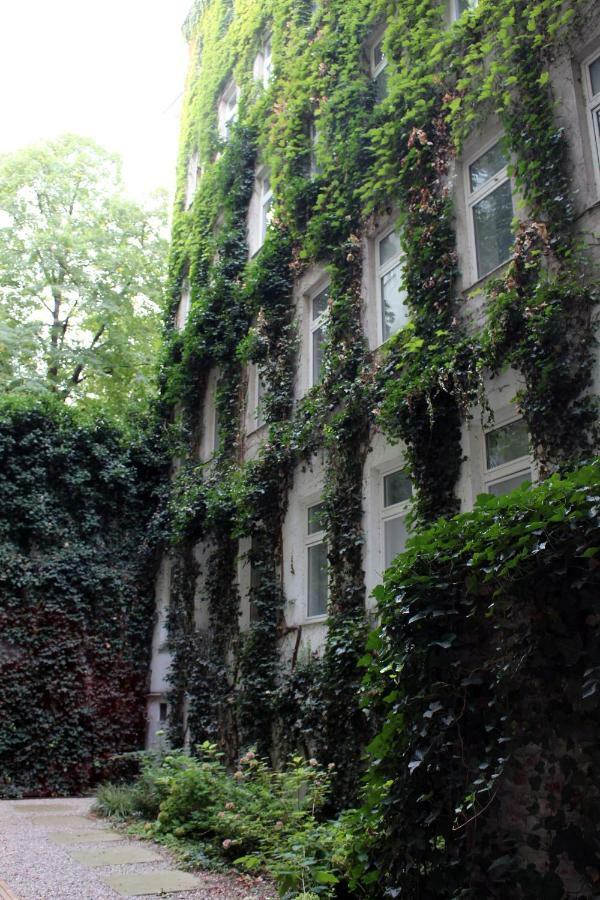 Central & Classic In Vienna Apartment ภายนอก รูปภาพ